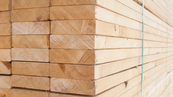 Untreated European Framing Timber
