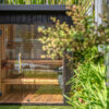 Natalie Sauna behind plant