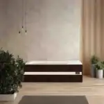 Freya Luxury Nordic Ice Bath | SDS Australia SDS Australia