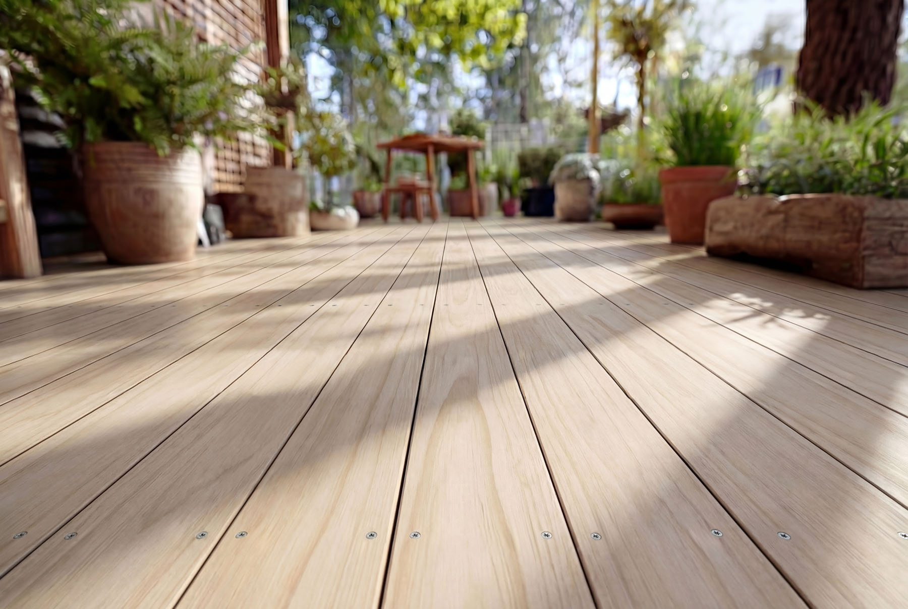 2AccoyaDeckingNaturalResidentialCloseup | SDS Australia SDS Australia