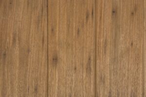 Blackbutt