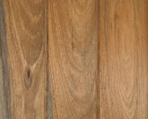 Spotted Gum