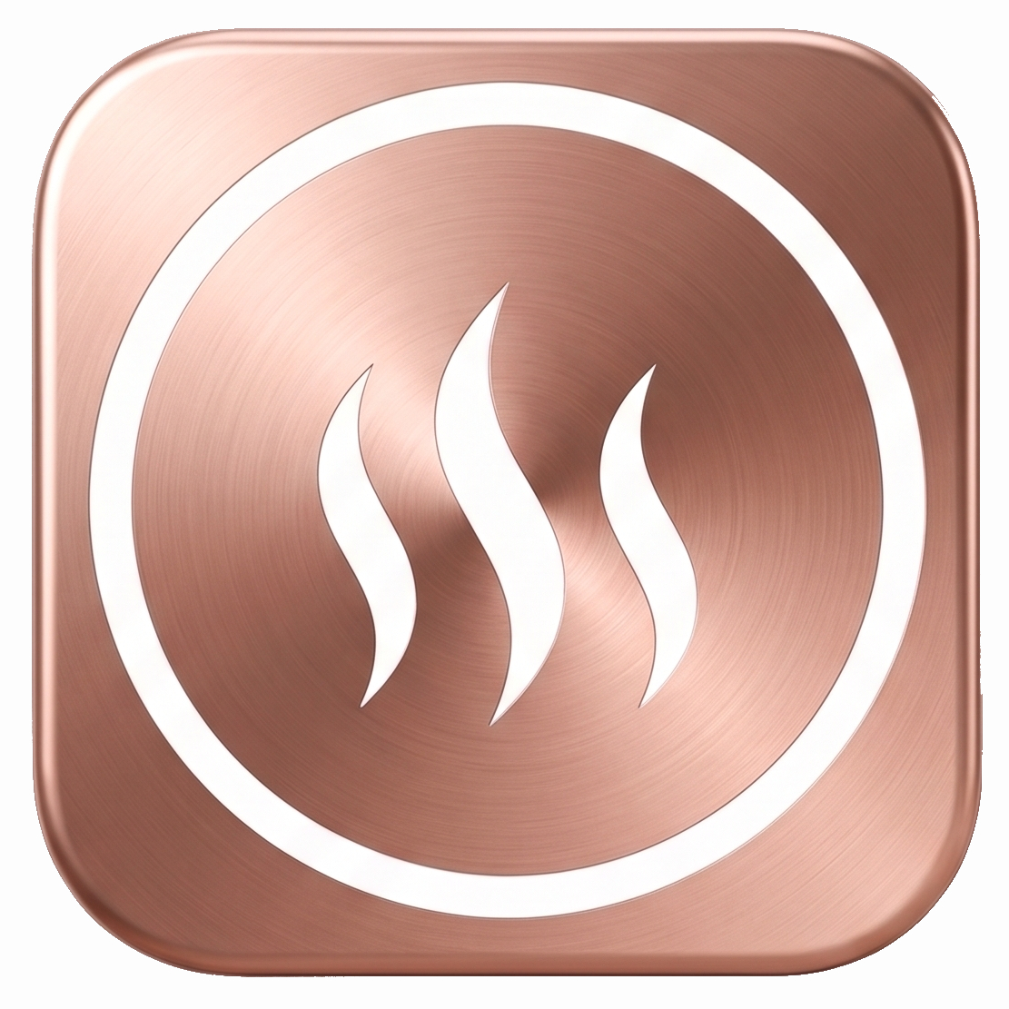 Steam Logo