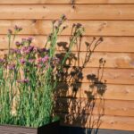 KaiaSOutdoorSaunaexteriormaterial | SDS Australia SDS Australia